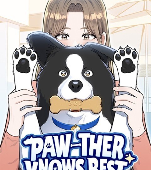 Paw封面